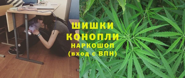 spice Осташков