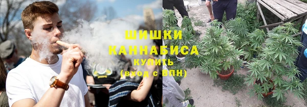 spice Осташков