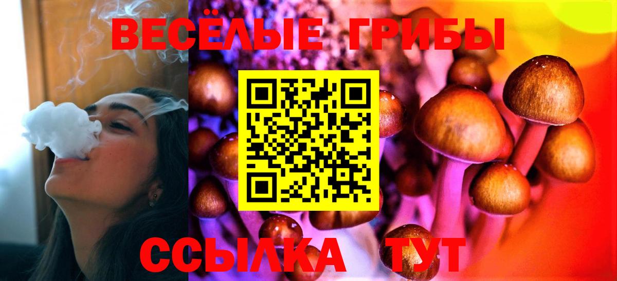 Псилоцибиновые грибы Psilocybe  Псилоцибиновые грибы GOLDEN TEACHER  Ялуторовск  Вход с VPN 