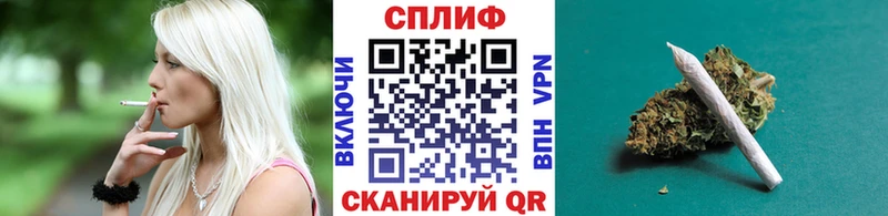 Конопля сатива  Ялуторовск 