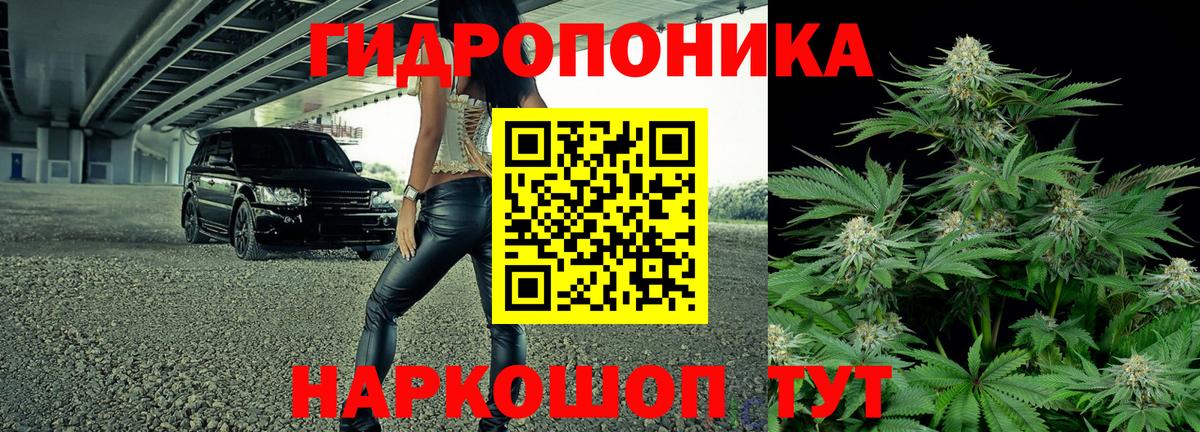 Бошки марихуана конопля  Вход с VPN  Ялуторовск  Каннабис семена  Марихуана тримм 